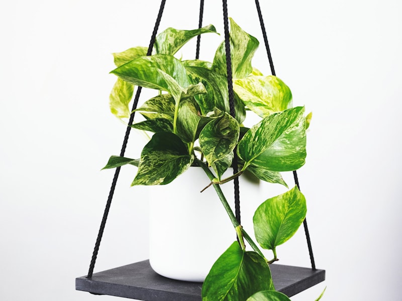 英超联赛第38轮 - 曼城对阵阿森纳冠军争夺战直播